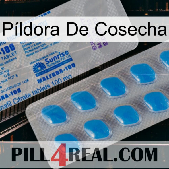 Píldora De Cosecha new15.jpg